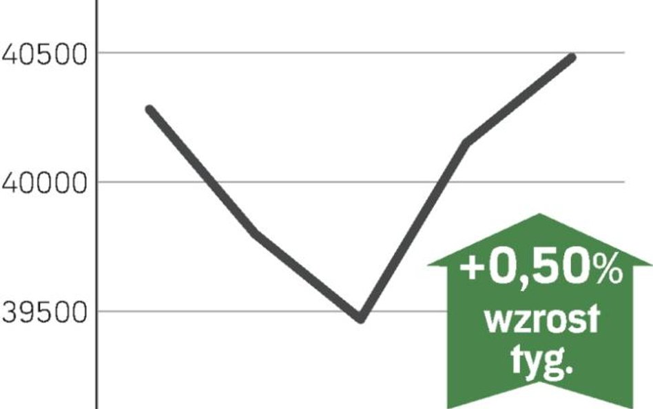 Dobre wieści dla polskiej waluty