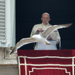 Papież Franciszek kontra węgiel. A Polska ma kłopot