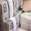 Zadłużona siła napędowa polskiej gospodarki