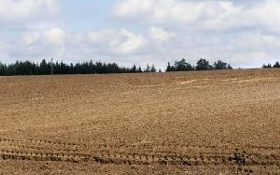 Sprzedaż działki przez inwestora nie jest czynnością sporadyczną