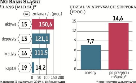 ING Bank Śląski stał na uboczu rozgrzanego rynku fuzji bankowych i słynął z szybkiego, skutecznego i