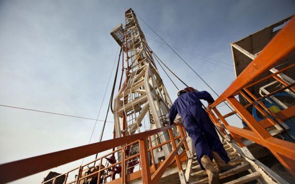 Petrolinvest najpopularniejszą spółka na rynku