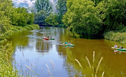 MSiT: Prawie 13 mln złotych na marki turystyczne, agroturystykę i szkolenia kadr