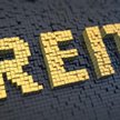 Griffin Premium: REIT zgodnie z prognozą na 2017 r.