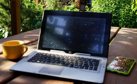 Najbardziej przyjazna dla klimatu strona internetowa