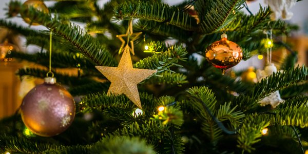 Choinka świąteczna, czyli nieoczywista tradycja