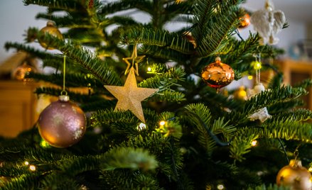 Moda na przystrajanie choinek dosyć szybko rozprzestrzeniała się po Europie w pierwszej połowie XIX 