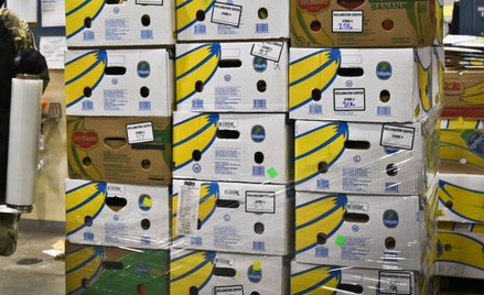 Wielka Brytania: Kokaina zamiast bananów. Przemyt wart 250 mln dolarów