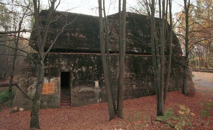 Wilczy Szaniec dla służb?