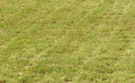 Warunkiem zwrotu przejętych gruntów (budynków) będzie zwrot przez właścicieli lub ich spadkobierców 