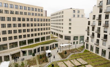 Paryska „Żyzna wyspa” to pierwsze tego typu rozwiązanie w stolicy Francji.