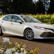 Toyota Camry wraca do polskich salonów