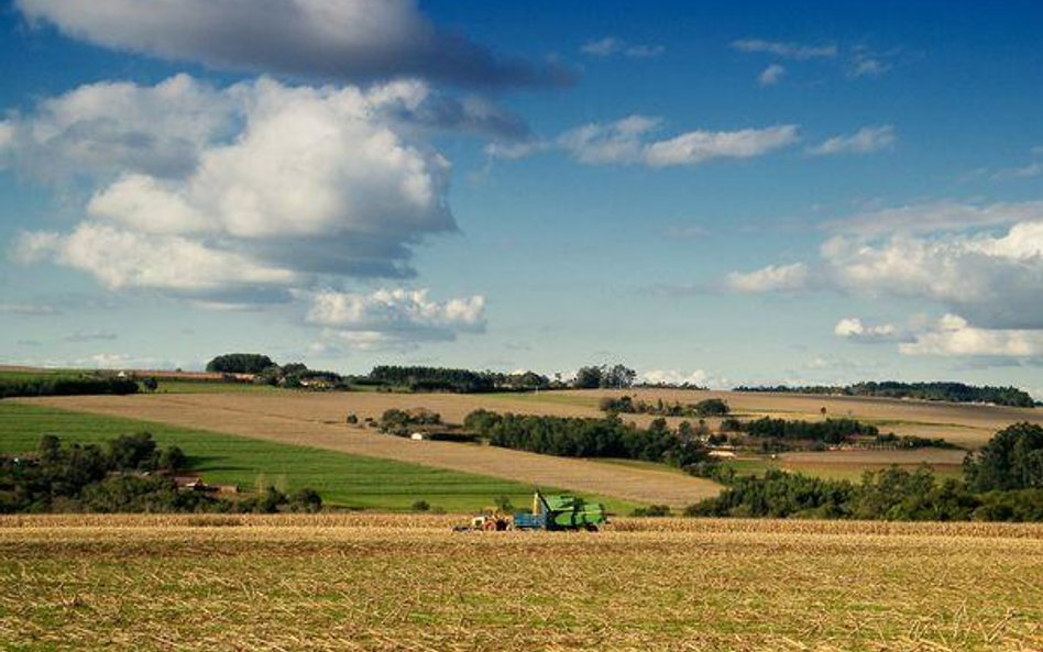 Samorządy tracą subwencje z budżetu państwa, ?bo nie mogą uznawać dojazdów do pól za drogi gminne.