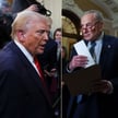 Donald Trump i Chuck Schumer