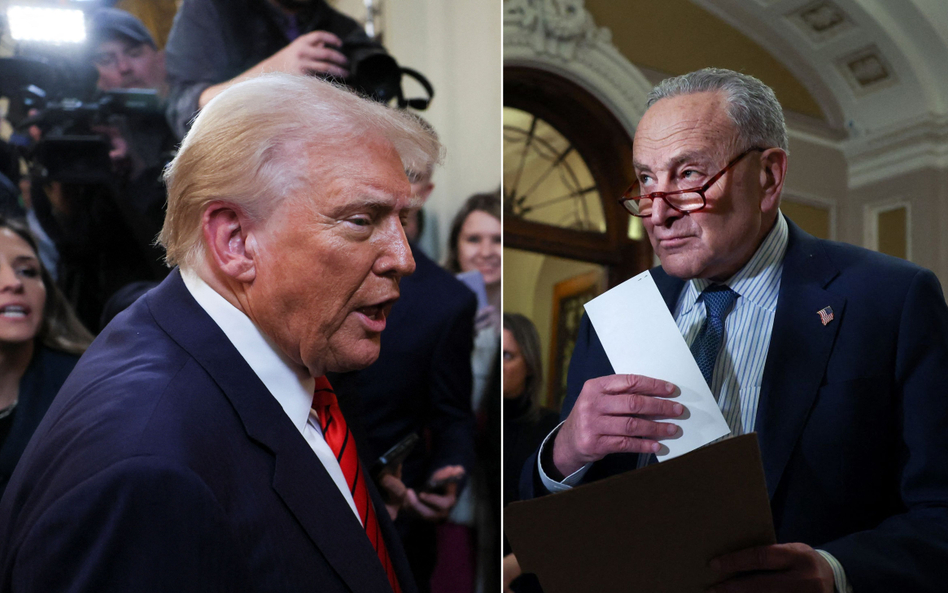 Donald Trump i Chuck Schumer