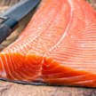 Norweski bio-łosoś wraca na stoły unijnych klientów