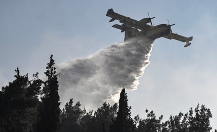 Samolot gaśniczy greckich sił zbrojnych gasi pożary lasów na północy Grecji, które wybuchły pod koni