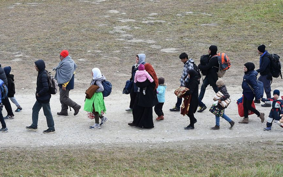 Niemcy: Organizacja żydowska chce zajęć integracyjnych dla muzułmańskich migrantów