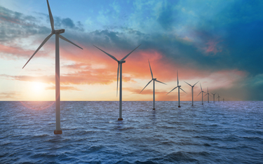 PGE z szansą na pierwszą lokalizację dla nowych morskich farm wiatrowych