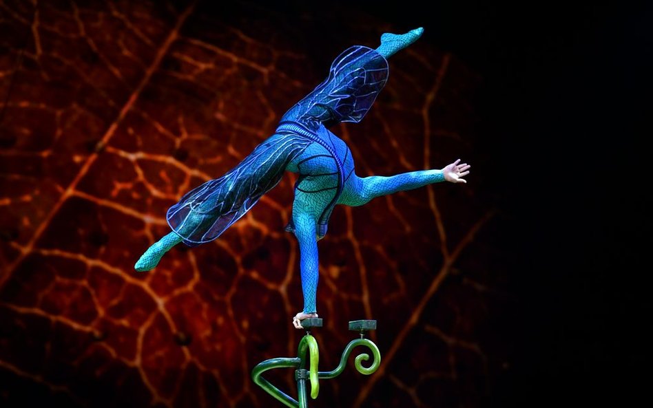 Kanadyjski cyrk nowego typu zbudował swoją legendę, odrzucając tresurę zwierząt i całkowicie koncent