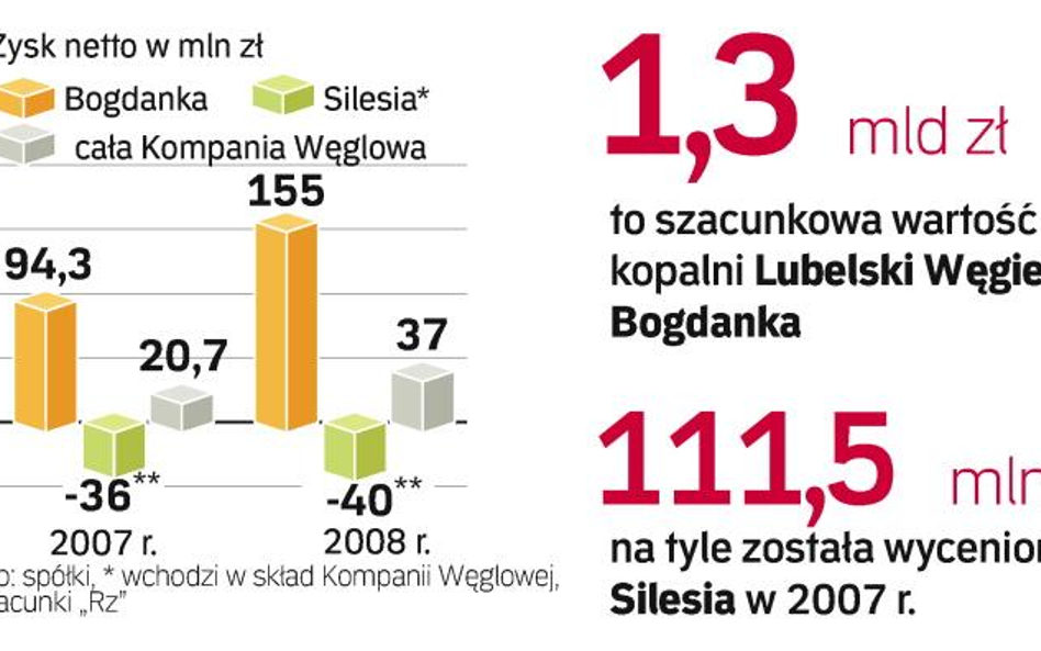 Bogdanka ma świetne wyniki, a zasoby węgla w Silesii ocenia się jako jedne z największych. Tyle że d