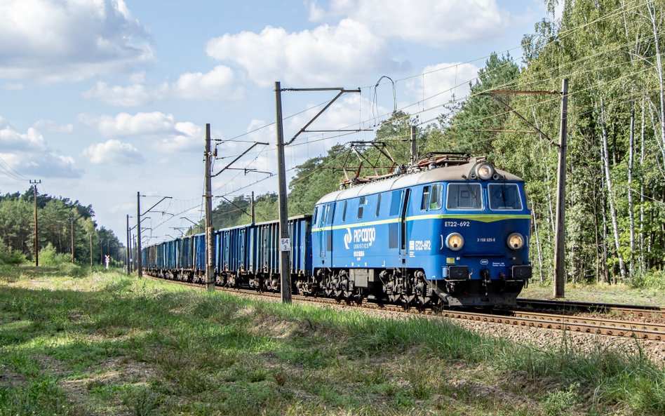 W ubiegłym roku po polskich torach przewieziono 223,5 mln t różnego rodzaju ładunków. To najmniej od