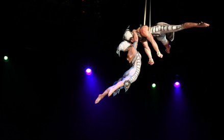 Kanadyjski cyrk nowego typu zbudował swoją legendę, odrzucając tresurę zwierząt i całkowicie koncent