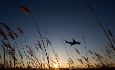 Dorota Chrabota: Pomoc publiczna dla linii lotniczych