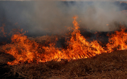 Pożar na południu Grecji. Ewakuacja mieszkańców