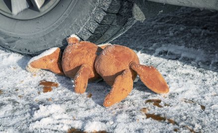 Pijany kierowca zabił dziecku bliskich, fiskus chce doli od odsetek od odszkodowania - interwencja R