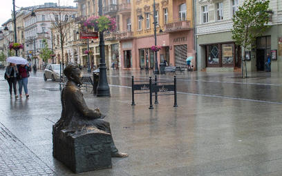 Deszczówka z ogrodów deszczowych ma być pozbawiona toksyn