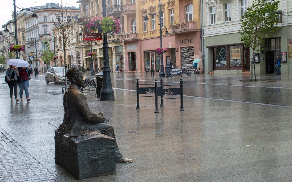 Deszczówka z ogrodów deszczowych ma być pozbawiona toksyn