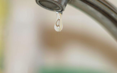 Wodna rewolucja: likwidacja zwolnienia z opłat za wodę pociągnie za sobą nowe koszty