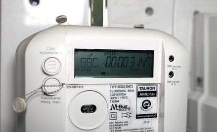 Mrożenie od blisko trzech lat cen energii zatrzymało jakąkolwiek walkę o klienta.