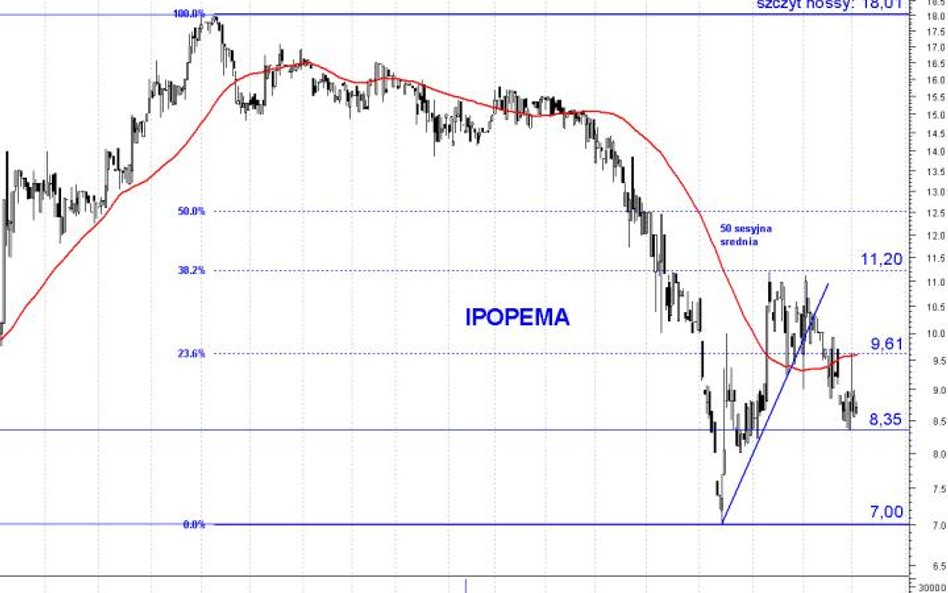 Ipopema: korekta krótkoterminowych wzrostów