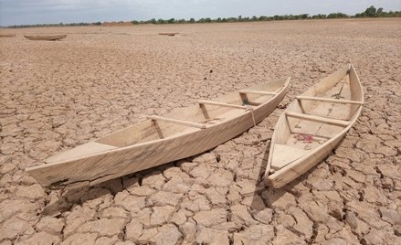 Liczba i czas trwania susz na świecie wzrosły od 2000 roku o blisko jedną trzecią.