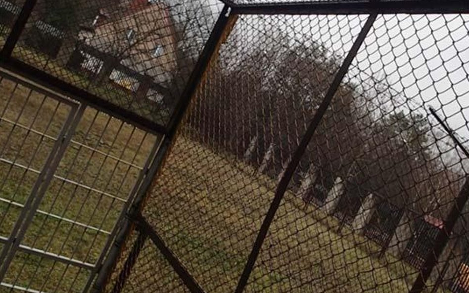 Pomieszczenie do rekreacji nieletnich na świeżym powietrzu (2,2m x 3,0m) w izbie w Olsztynie