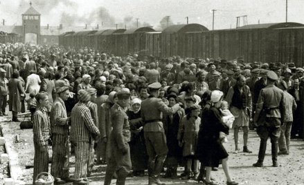Obóz w Auschwitz w maju 1944 roku