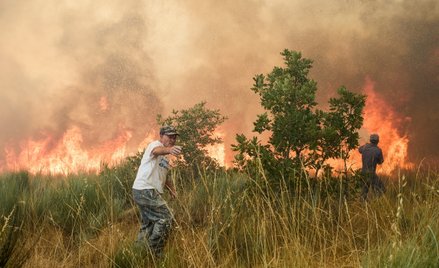 Mieszkańcy walczą z płomieniami pożaru lasu szalejącego w pobliżu Pinhel w dystrykcie Guarda w Portu