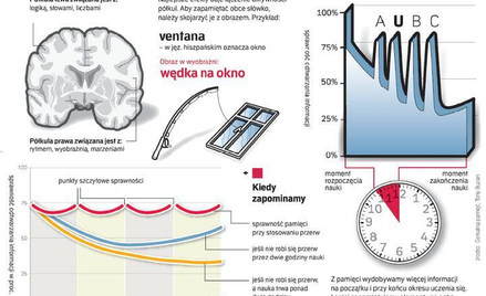 Pamięć na złoty medal