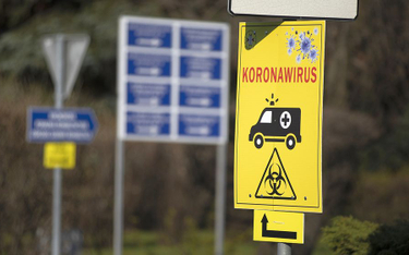 Dwie kolejne ofiary koronawirusa w Polsce. W niedzielę 224 przypadki