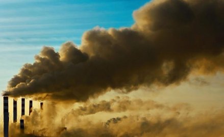 Emisja toksycznych związków do atmosfery musi zostać ograniczona - przekonuje raport WHO