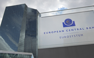 Strefa euro idzie na bój z inflacją. EBC mocno podnosi stopy