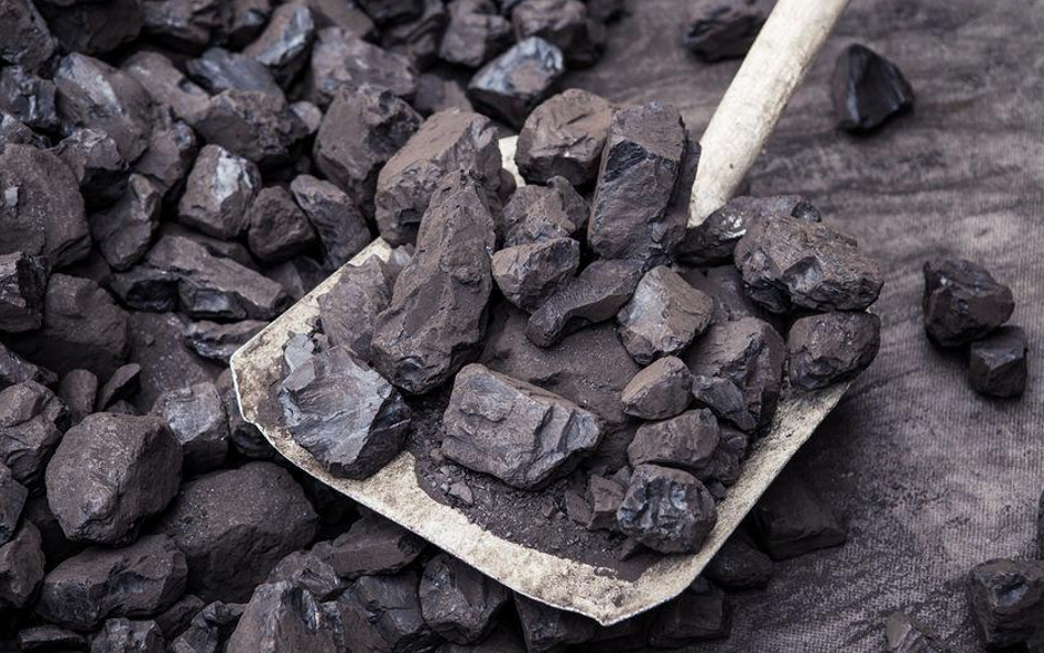 Energetyka: węgiel wypiera zielone w Enerdze