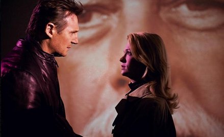 Doktor Martin Harris (Neeson) przylatuje z żoną (Jones) do Berlina na konferencję botaników. W krótc