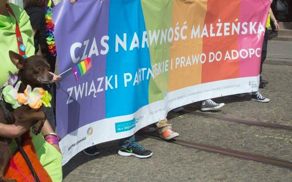 Prawnicy ostrzegają, że ustawa umożliwi adopcję dzieci przez pary gejowskie, czego środowiska LGBT d