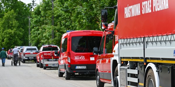 Pożar lasu na Mazowszu. „Są przesłanki, że to nie był przypadek”