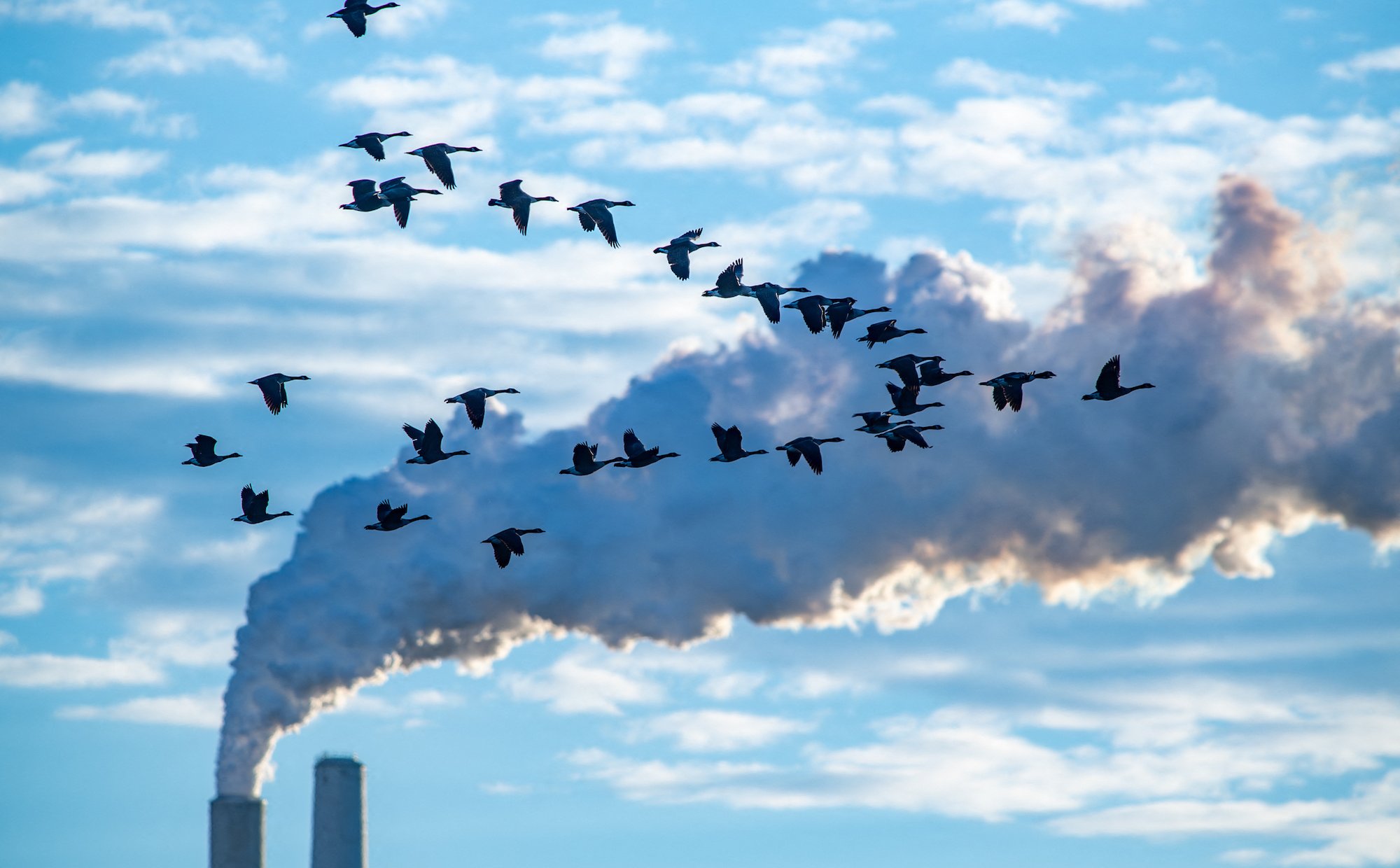 Katastroficzna wizja zmian klimatu coraz bardziej realna. Dwa scenariusze