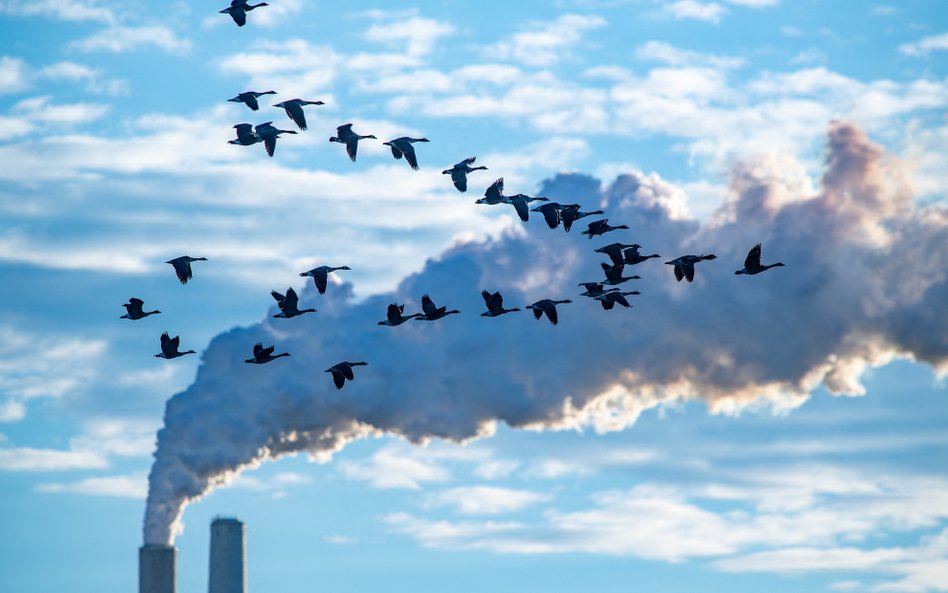 Katastroficzna wizja zmian klimatu coraz bardziej realna. Dwa scenariusze