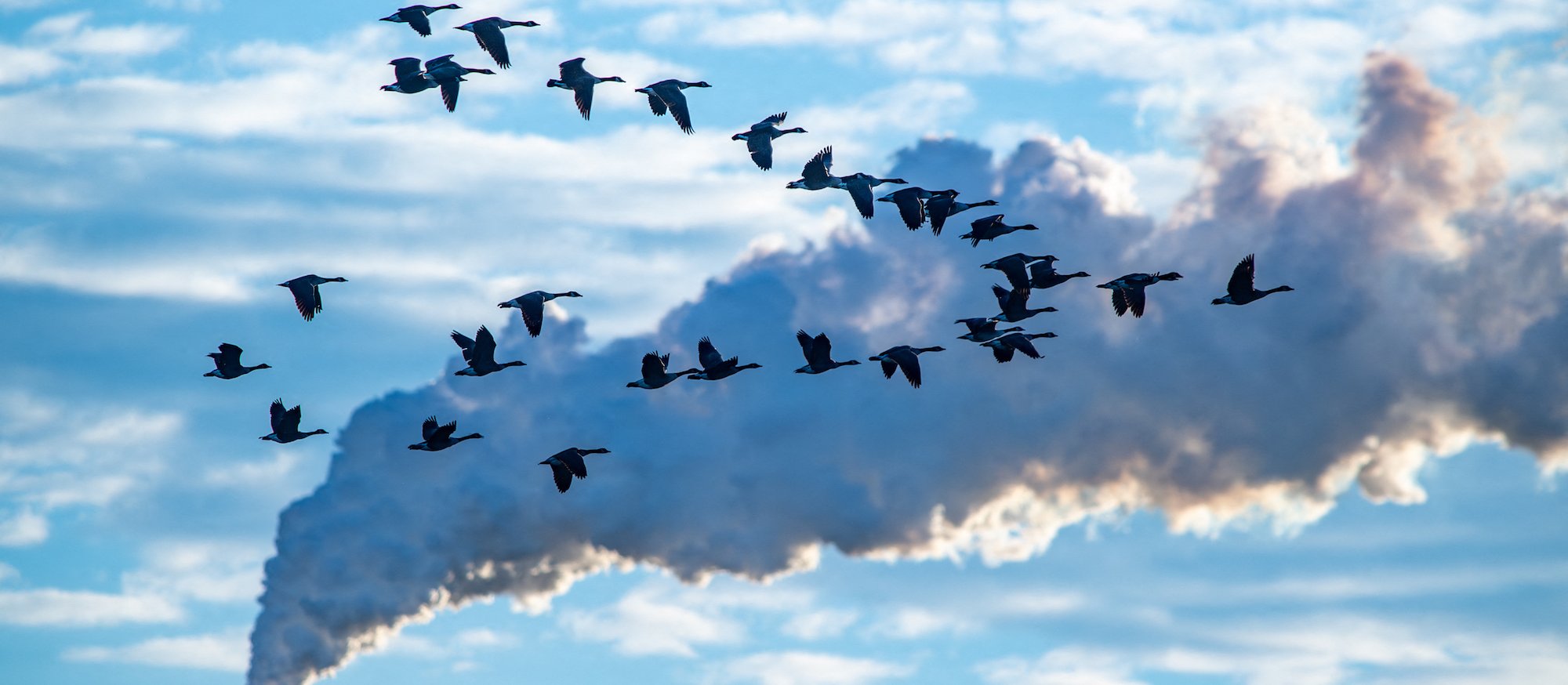 Katastroficzna wizja zmian klimatu coraz bardziej realna. Dwa scenariusze